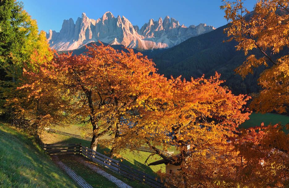 Törggelen und Törggele Die | Südtirol in Orte beliebtesten Wandern
